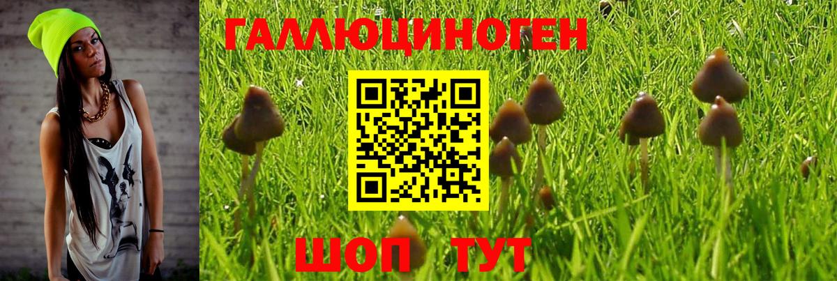 купить закладку  Псилоцибиновые грибы MAGIC MUSHROOMS  Вход с VPN  Ефремов 
